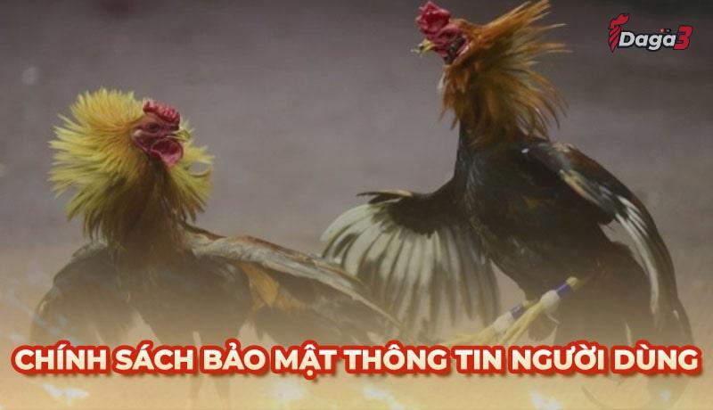 Chính sách bảo mật thông tin người dùng tại Khunghiduongmyan.com
