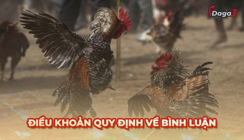 Người dùng cần tuân thủ một số điều khoản khi bình luận trên Khunghiduongmyan.com