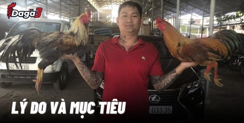 Mít Trà Cú sáng lập trang đá gà trực tiếp Khunghiduongmyan.com
